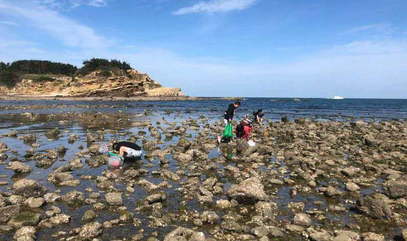 【会员免费】小石岛钓鱼赶海公园